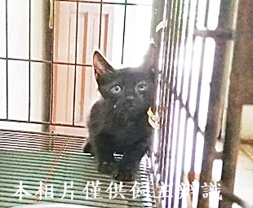 11406140006收10