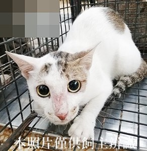 11406190014收17