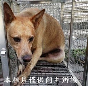 11406190019收圓2
