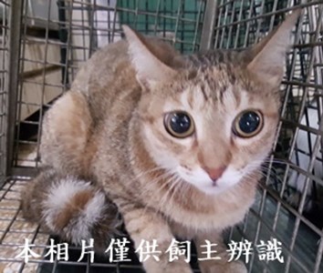 11406200004收-27