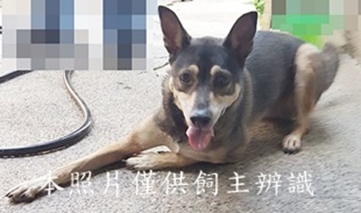 11406210011收-E16