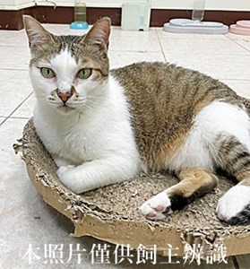11406250013收
