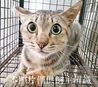11406260002收-44