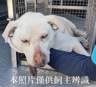 11406260010收-元17