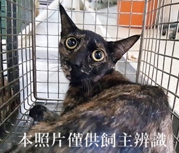 11406270001收-12
