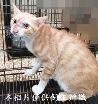 11406280013收24