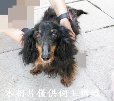 11406280016收棄