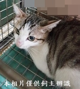 11406290002收9