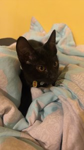 IMG_1926.jpeg