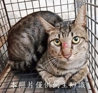 11406300006收40