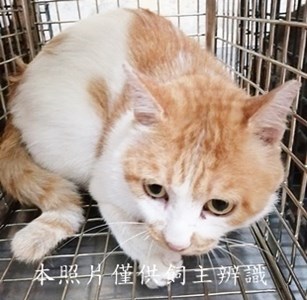 11406300012收24