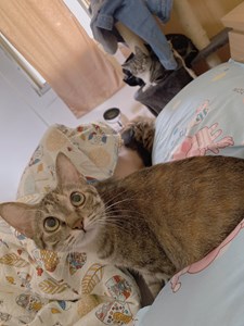 IMG_0857.jpeg