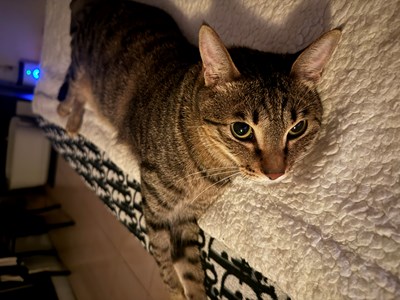 IMG_1112.jpeg