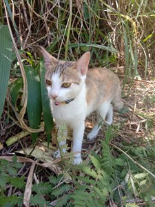 IMG_20220427_110713.jpg