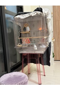 IMG_0707.jpeg