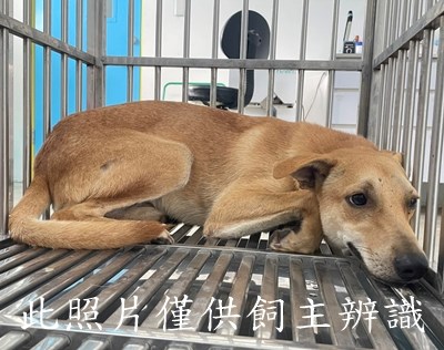 11407026002陳2