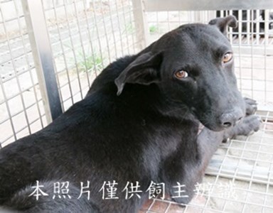 11407020015收Y