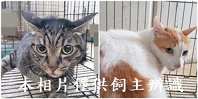 11407020021-22收