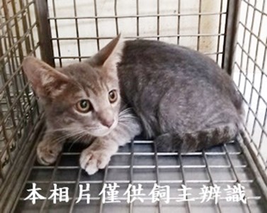 11407040010收36