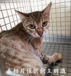 11407040011收60