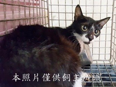 11407050001收-23