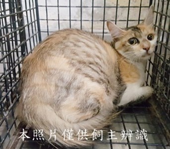 11407050003收-70