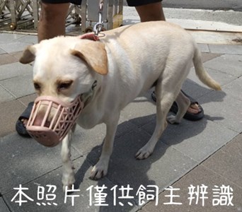 11407056001棄養