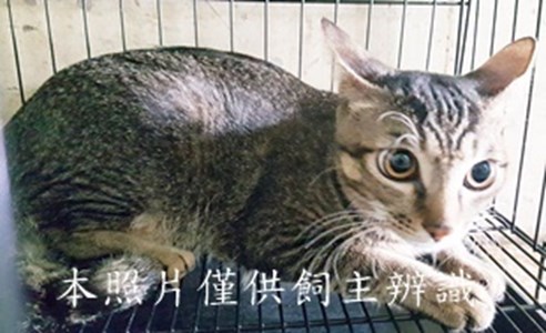 11407050015收-63