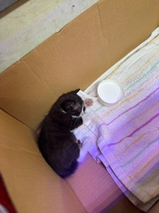 IMG_4608.jpeg