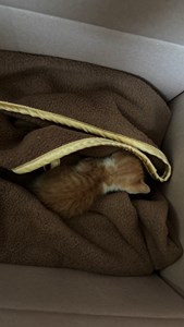 IMG_0266.jpeg
