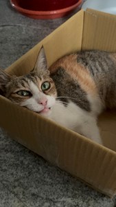 IMG_6241.jpeg