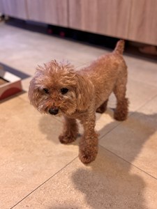 IMG_6447.jpeg
