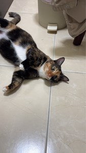 IMG_2219.jpeg