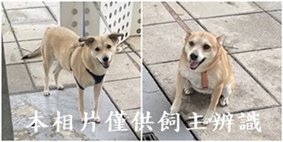 11407080004-5收