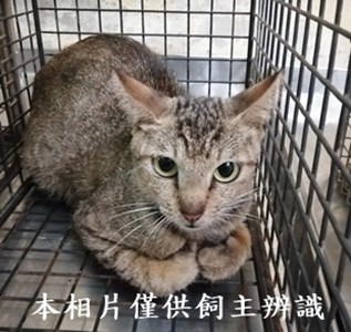 11407080006收28