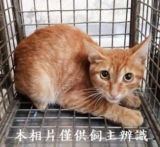 11407080009收48