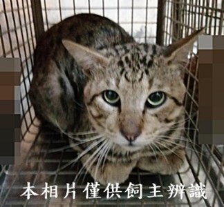 11407080010收51