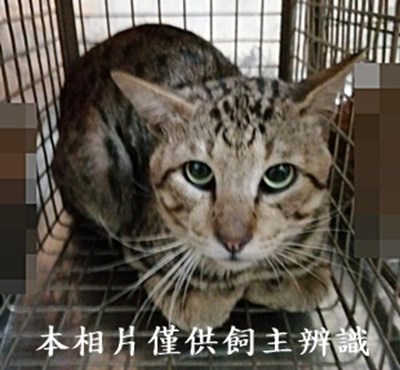 11407080010收51