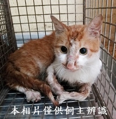 11407080011收5