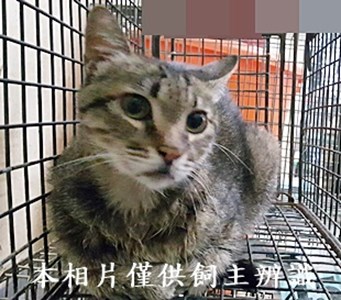 11407090003收-50