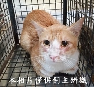 11407090010收60