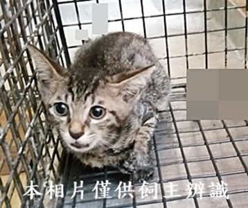 11407090011收31
