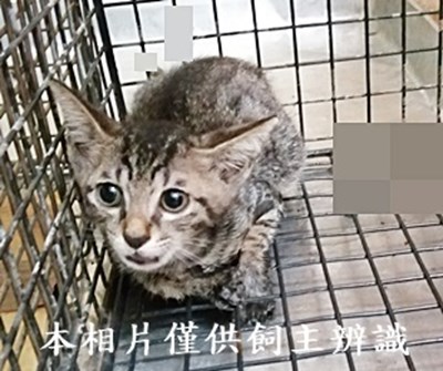 11407090011收31