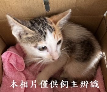 11407090012收-49