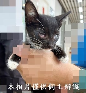 11407120010收