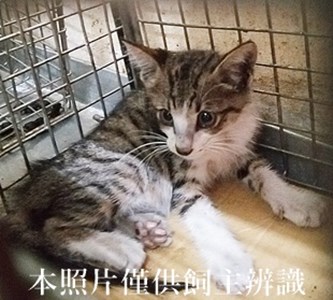 11407140002收12