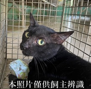 11407140011收43