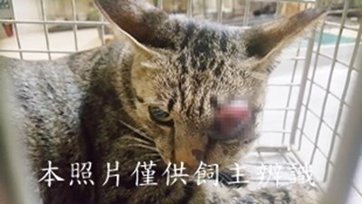 11407170019收-63