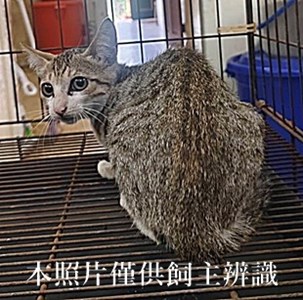 11407170029收55