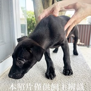 11407180012收